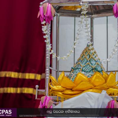 432299877 735339332060813 149504971254088797 N