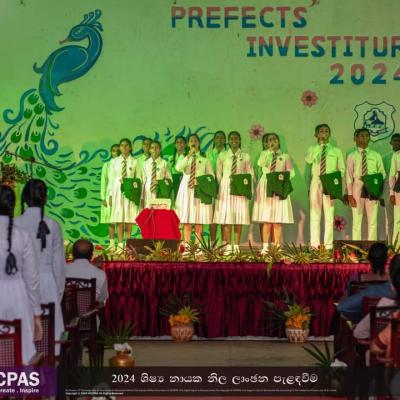 Whatsapp Image 2024 06 01 At 14.54.33 8d73dd15